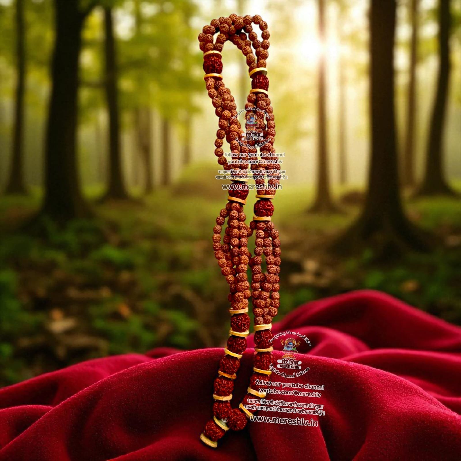 251 Rudraksha Mala – दिव्य 251 रुद्राक्ष माला