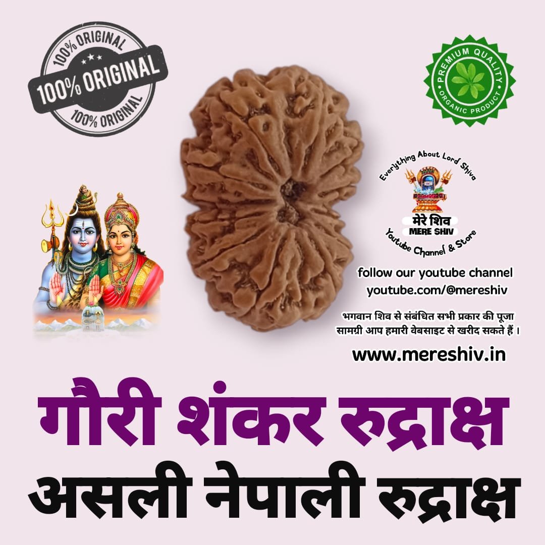 गौरी शंकर रूद्राक्ष Certified Gauri Shankar Rudraksh Nepali Original
